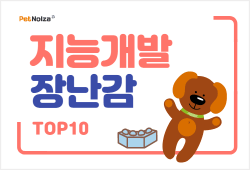 2021 강아지 지능개발 장난감 TOP 10