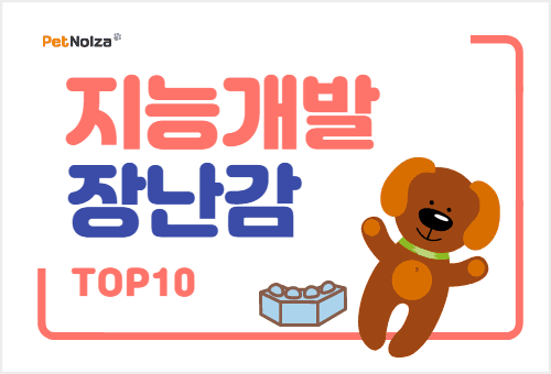 Read more about the article 2021 강아지 지능개발 장난감 TOP 10