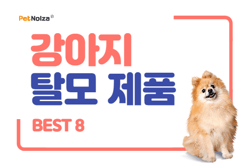 Read more about the article 2021 강아지 알로페시아 피모 관련 제품 BEST 8