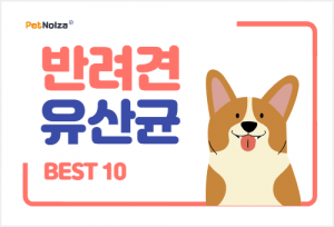 Read more about the article 2022 강아지 고양이 프로바이오틱스 유산균 제품 TOP10