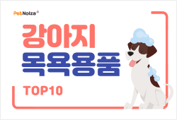 최고의 강아지 목욕용품 TOP 10