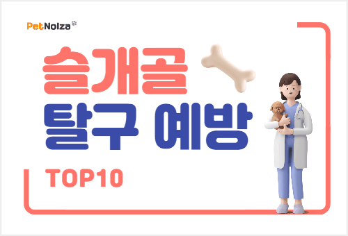 Read more about the article 강아지 슬개골 탈구 예방 제품 TOP 10