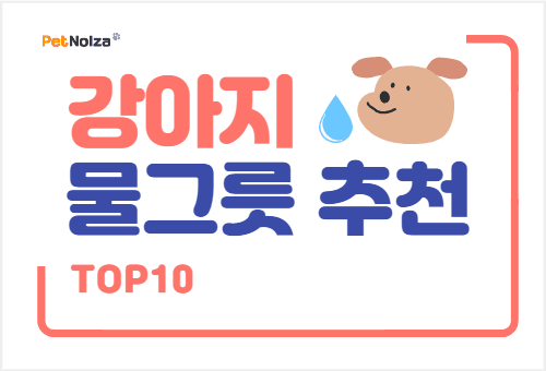 Read more about the article 강아지 물그릇 급수기 추천 TOP10