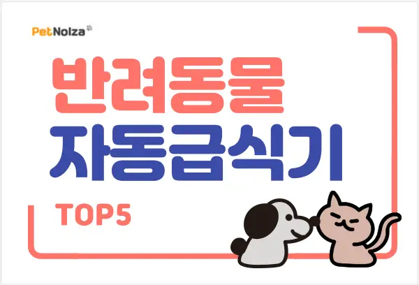 Read more about the article 고양이 강아지 자동급식기 추천 TOP5