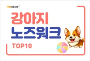 Read more about the article 강아지 노즈워크 장난감 BEST 10